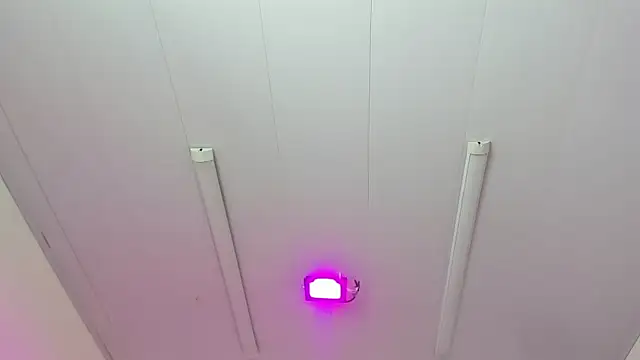 IsabellRodriguez18 online show from 16, 3, 2026