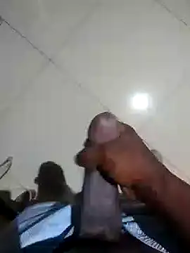 dikker online show from 26, 12, 2024