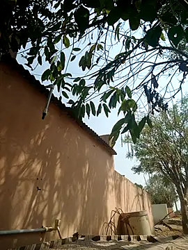 Snapshot of carria_homes chatting on 14, 3, 2025 carria homes online show from 14, 3, 2025