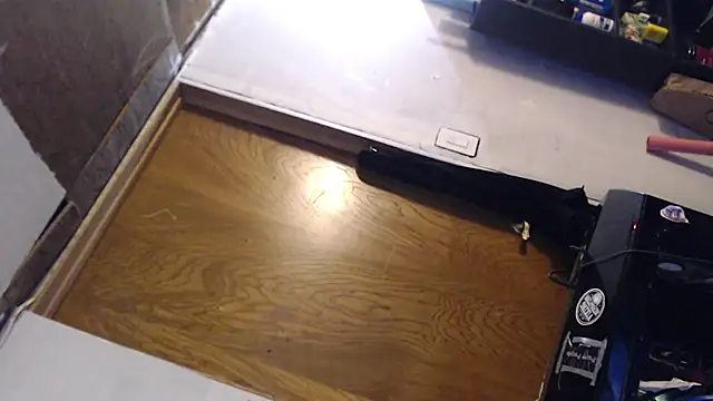 SadCatDaddy online show from 9, 3, 2025