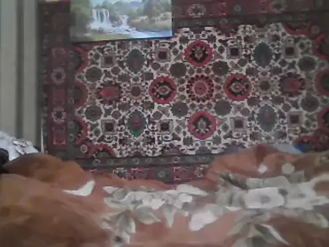 AlferezzSolvajo online show from 8, 2, 2025