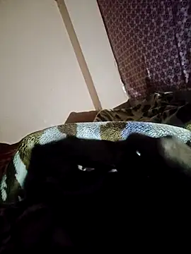 tamilenglish online show from 18, 4, 2026