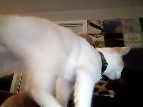 Futura intx online show from 12, 9, 2025