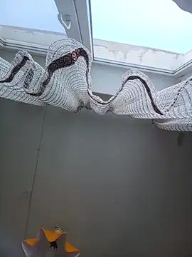 Lauren Amabel online show from 22, 2, 2026