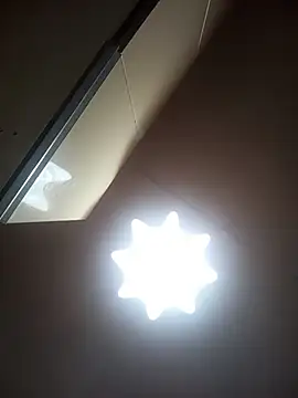 Lauren Amabel online show from 7, 3, 2026