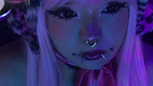 LaytonBox online show from 24, 3, 2026