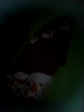 Snapshot of safado0027 chatting on 9, 11, 2025 safado0027 online show from 9, 11, 2025