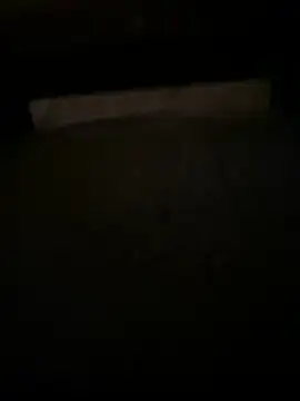 QTeepye online show from 16, 4, 2026