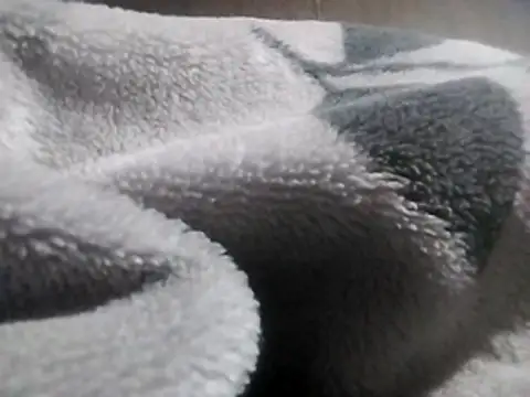 LaneYam online show from 12, 3, 2026