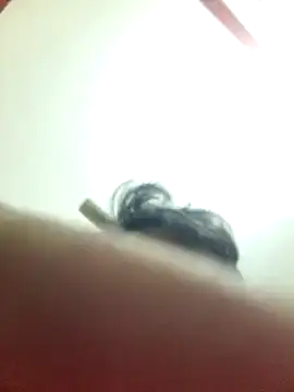 Marvelous Piyush online show from 6, 3, 2025