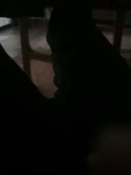 Enrrre online show from 16, 4, 2026