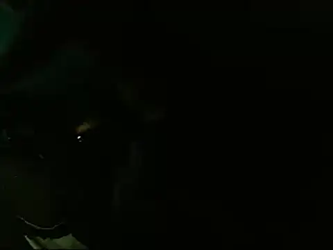 Snapshot of Lliam_2 chatting on 20, 1, 2025 Lliam 2 online show from 20, 1, 2025