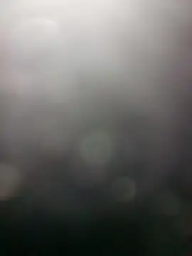 edubig23cm online show from 19, 1, 2025