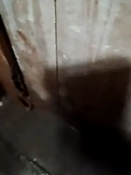 Raj41 online show from 20, 9, 2025