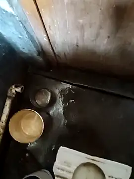 Raj41 online show from 7, 10, 2025