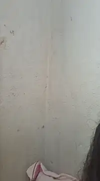 novinhatransexy online show from 11, 2, 2025