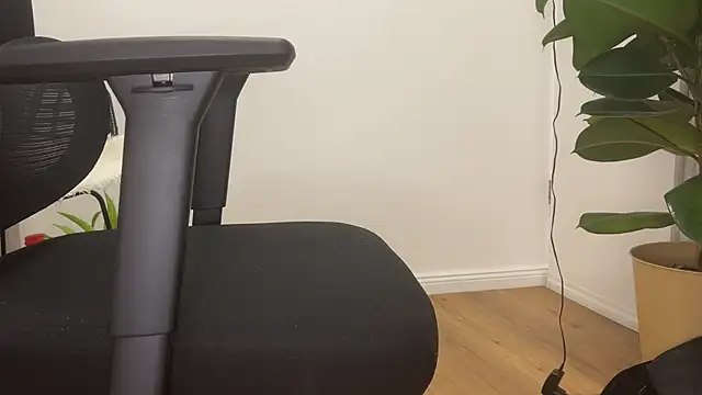 berg michael1 online show from 28, 1, 2025