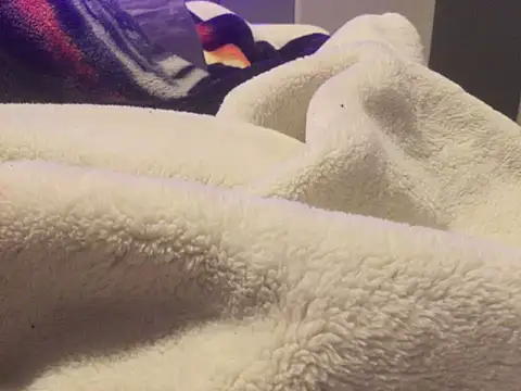 Pilote19 online show from 6, 1, 2026