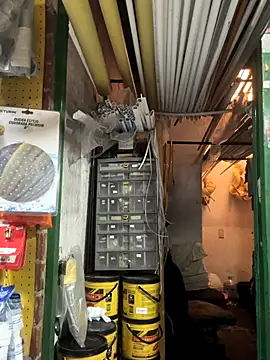 masmelorosa online show from 1, 10, 2025