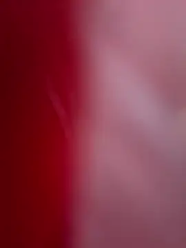 Snapshot of ALEXANDRA95 chatting on 11, 2, 2025 ALEXANDRA95 online show from 11, 2, 2025