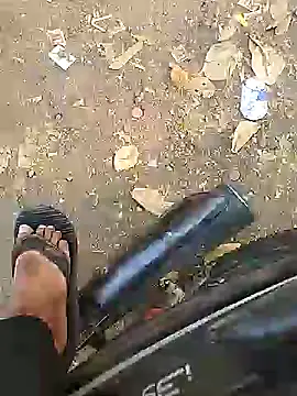 Playboy bhabhi 00 online show from 10, 2, 2025