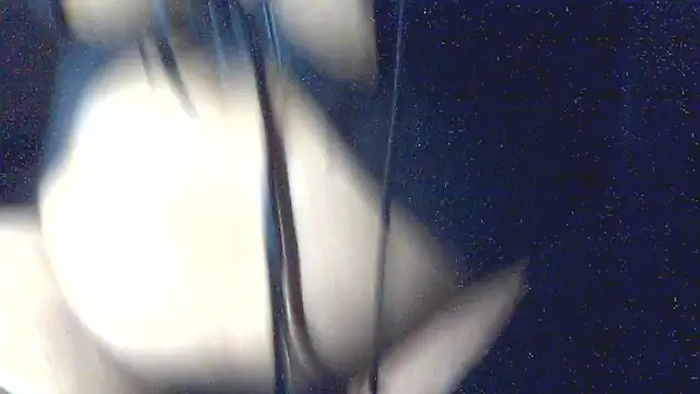 Leelasissy online show from 6, 3, 2026