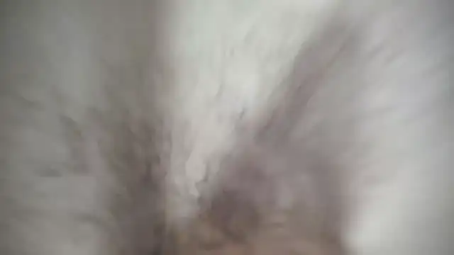 Ivyrose4999 online show from 12, 1, 2025