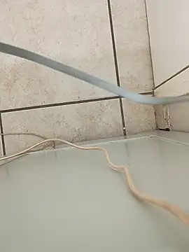 Demonspeed6669 online show from 27, 4, 2026