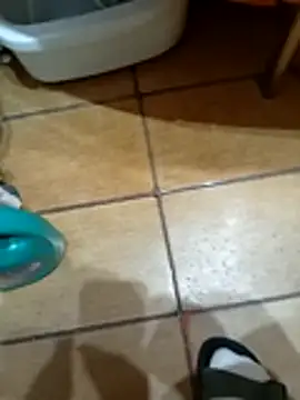 Snapshot of NAvoglia chatting on 12, 3, 2026 NAvoglia online show from 12, 3, 2026