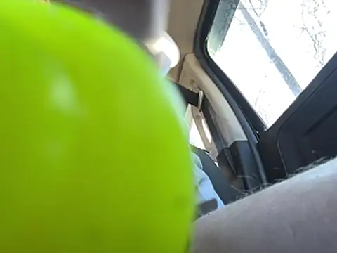 Snapshot of ClimbedCaelum chatting on 22, 2, 2026 ClimbedCaelum online show from 22, 2, 2026