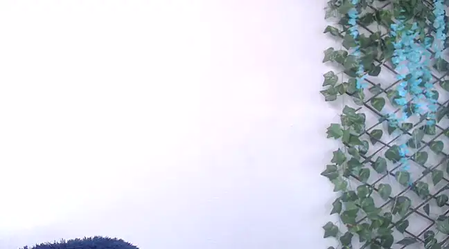 7 Saturno 7 online show from 13, 2, 2025