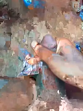 cumcum94 online show from 21, 4, 2026