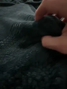 kishamis69 online show from 13, 2, 2025