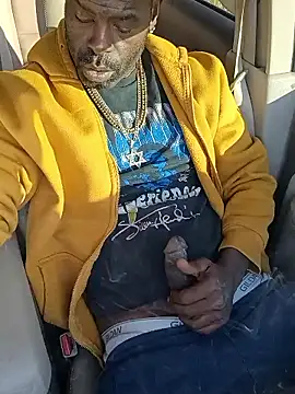 birdg online show from 17, 1, 2026