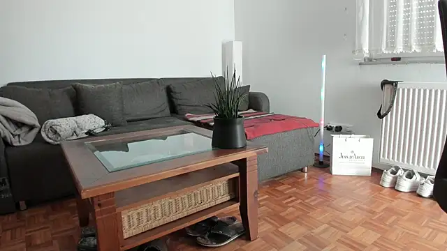 molicaremolicare online show from 13, 11, 2025