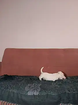 Jehan Soto online show from 9, 9, 2025