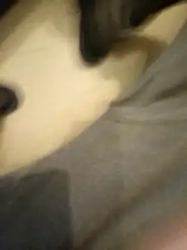 flo000031 online show from 14, 1, 2026