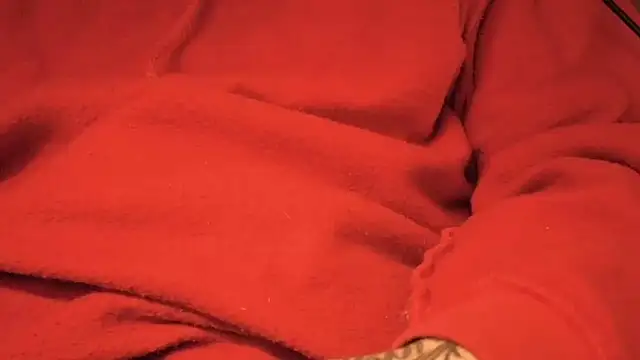 strongdude212 online show from 17, 4, 2026