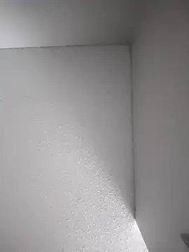 Snapshot of Vergadura590 chatting on 3, 11, 2025 Vergadura590 online show from 3, 11, 2025