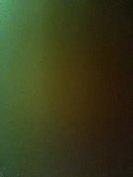 Snapshot of PPP-30 chatting on 20, 2, 2025 PPP-30 online show from 20, 2, 2025