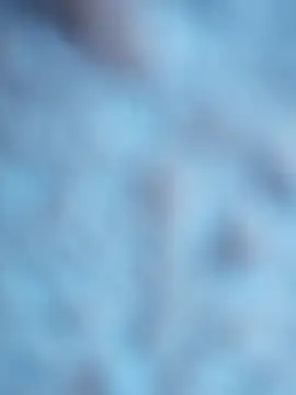 Snapshot of maialani chatting on 6, 10, 2025 maialani online show from 6, 10, 2025