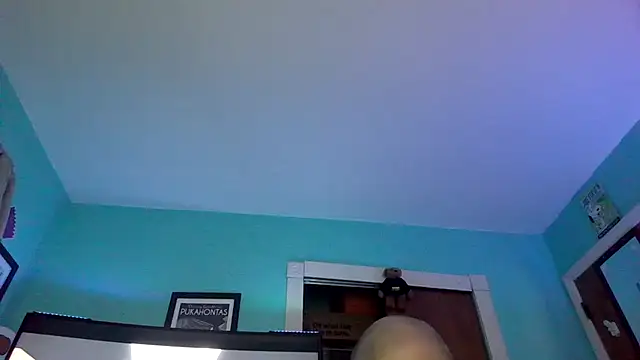 Novabear6996 online show from 13, 6, 2026