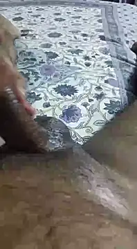 desi pb02 online show from 11, 9, 2025