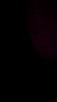 salchichon 69 online show from 11, 3, 2026