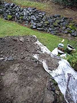 KingSlim56 online show from 15, 11, 2025