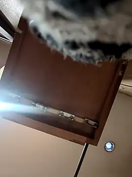 QueenM3 online show from 11, 3, 2025