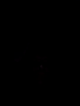 Nidge251 online show from 4, 11, 2025