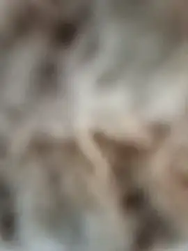 mauroxx08 online show from 5, 4, 2026