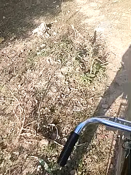 bairobunde online show from 7, 2, 2026