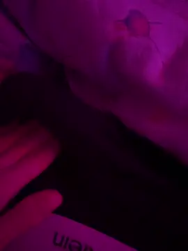 Snapshot of mario_6_9_9_0 chatting on 7, 3, 2025 mario 6 9 9 0 online show from 7, 3, 2025